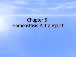 Chapter 5: Homeostasis &amp; Transport