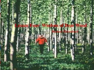 Lesson Four Wisdom of Bear Wood Michael Welzenbach