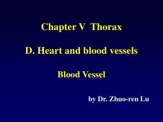 Chapter V Thorax