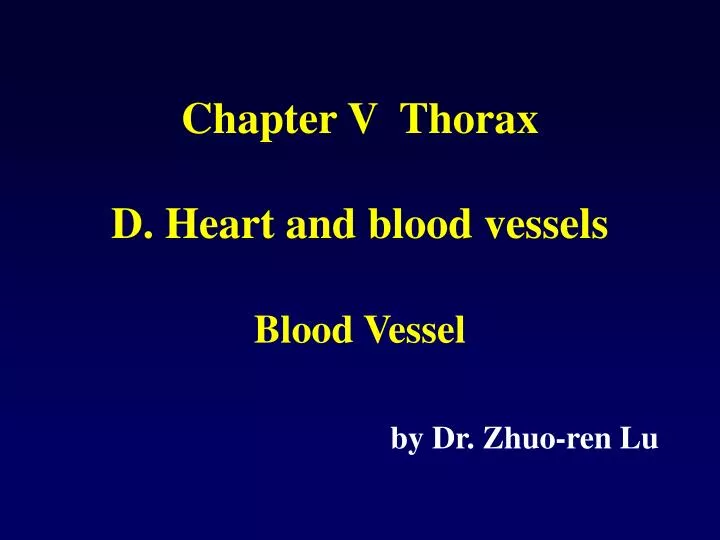 chapter v thorax