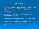Porifera - slide 1