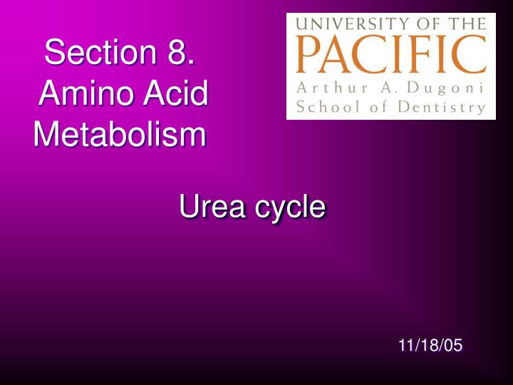 section 8 amino acid metabolism