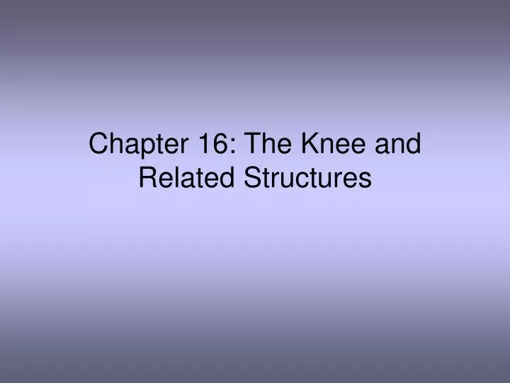 chapter 16 the knee and related structures
