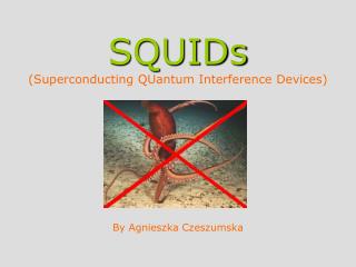 SQUIDs (Superconducting QUantum Interference Devices)
