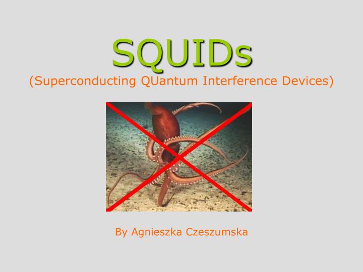 squids superconducting quantum interference devices