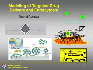 Modeling of Targeted Drug Delivery and Endocytosis