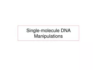 Single-molecule DNA Manipulations