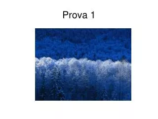 prova 1