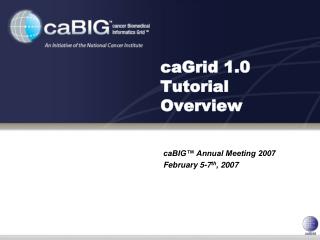 caGrid 1.0 Tutorial Overview