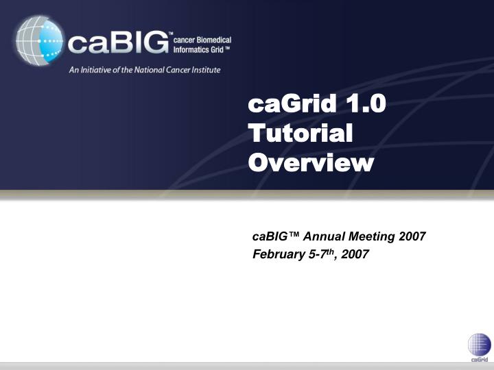 cagrid 1 0 tutorial overview