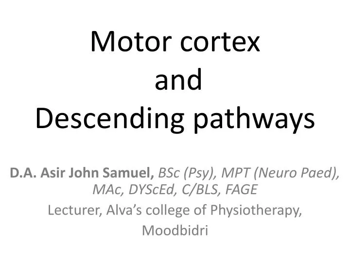 motor cortex and descending pathways