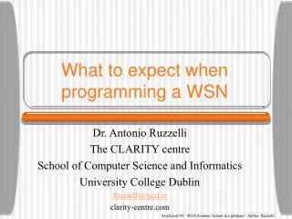 What to expect when programming a WSN