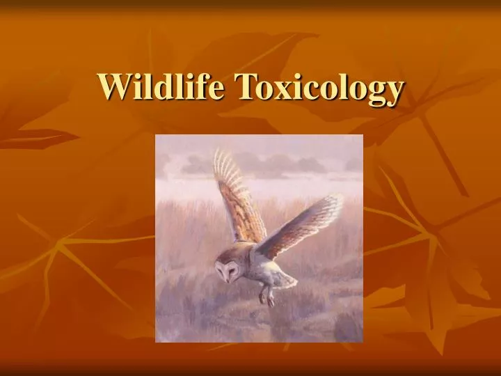 wildlife toxicology