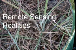 Remote Sensing Realities