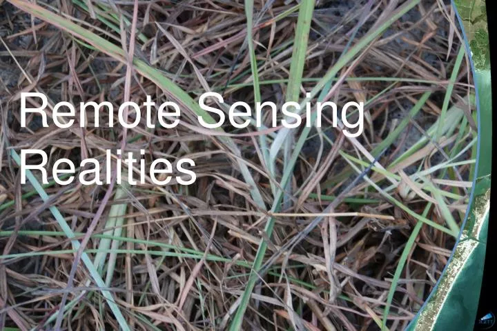 remote sensing realities