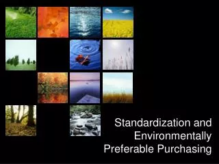 Standardization and Environmentally Preferable Purchasing