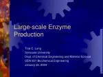 Large-scale Enzyme Production - slide 1