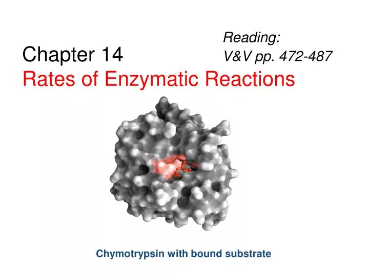 chapter 14 rates of enzymatic reactions