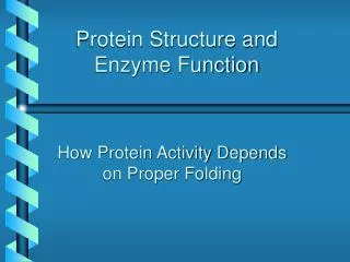 Protein Structure and Enzyme Function