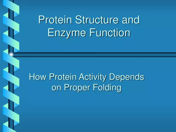 protein structure and enzyme function