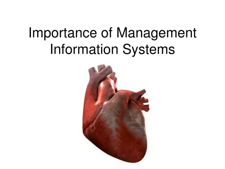 importance of management information systems