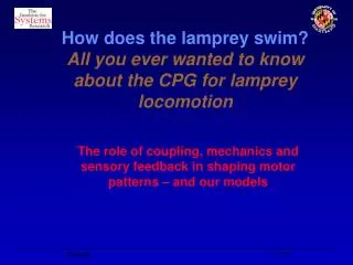 How does the lamprey swim? All you ever wanted to know about the CPG for lamprey locomotion