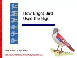 How Bright Bird Used the Big6