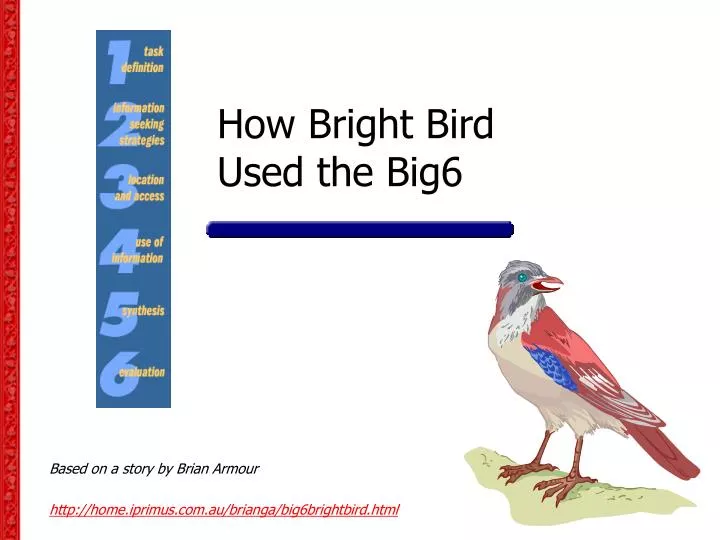 how bright bird used the big6