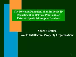 The Role and Functions of an In-house IP Department or IP Focal Point and/or External Specialist Support Services