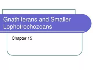 Gnathiferans and Smaller Lophotrochozoans