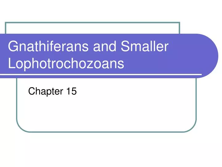 gnathiferans and smaller lophotrochozoans