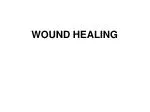 WOUND HEALING - slide 1