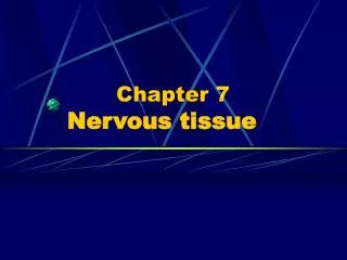 Chapter 7 Nervous tissue