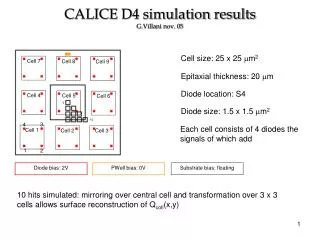 CALICE D4 simulation results G.Villani nov. 05
