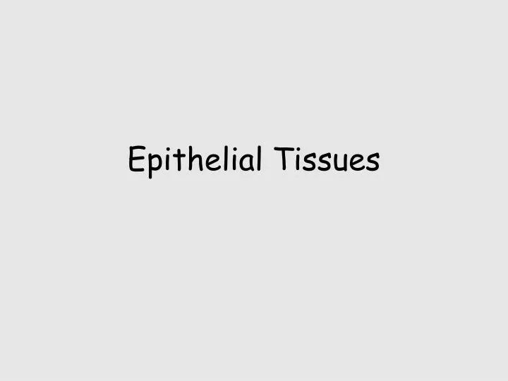 epithelial tissues