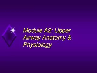 Module A2: Upper Airway Anatomy &amp; Physiology