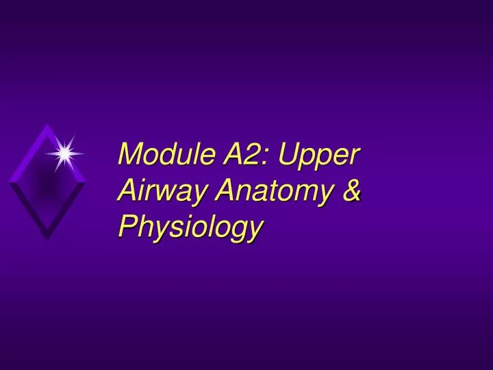 module a2 upper airway anatomy physiology