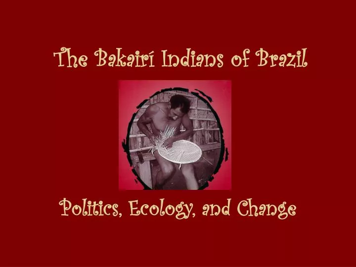 the bakair indians of brazil