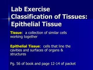 Lab Exercise Classification of Tissues: Epithelial Tissue