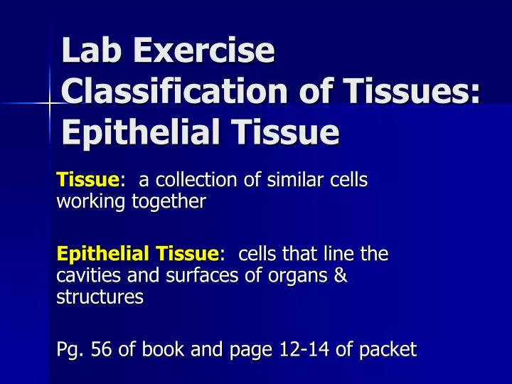lab exercise classification of tissues epithelial tissue
