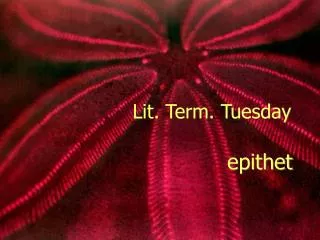 Lit. Term. Tuesday
