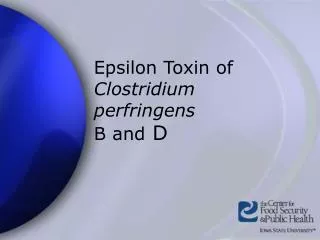 Epsilon Toxin of Clostridium perfringens B and D