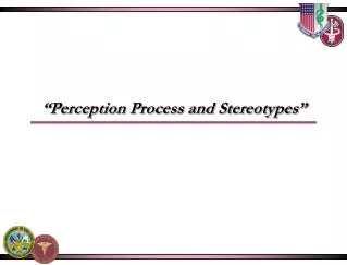 “Perception Process and Stereotypes”