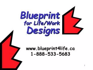 Blueprint for Life/Work Designs