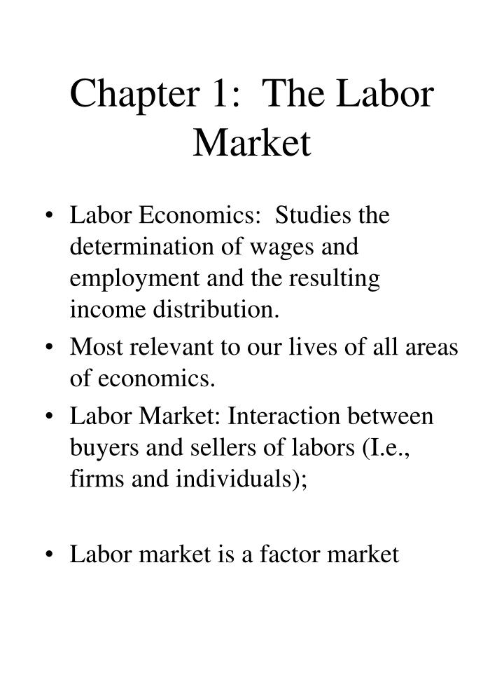 chapter 1 the labor market
