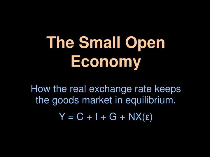 the small open economy