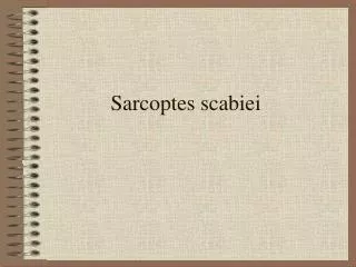 Sarcoptes scabiei