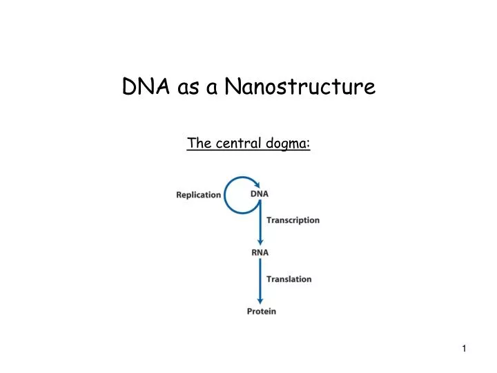 dna as a nanostructure the central dogma
