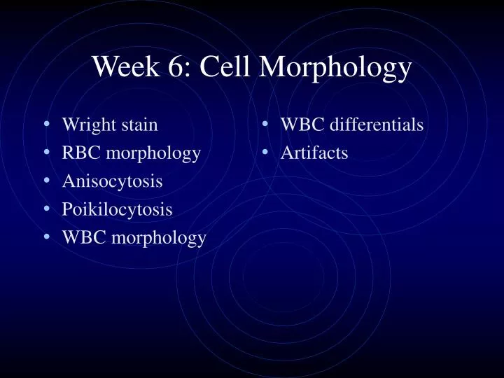 week 6 cell morphology