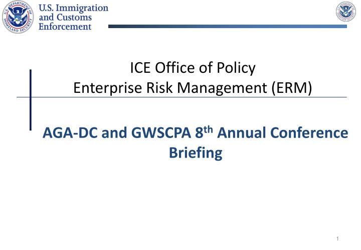 ice office of policy enterprise risk management erm